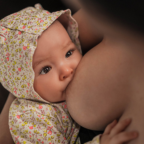 Alles over borstvoeding