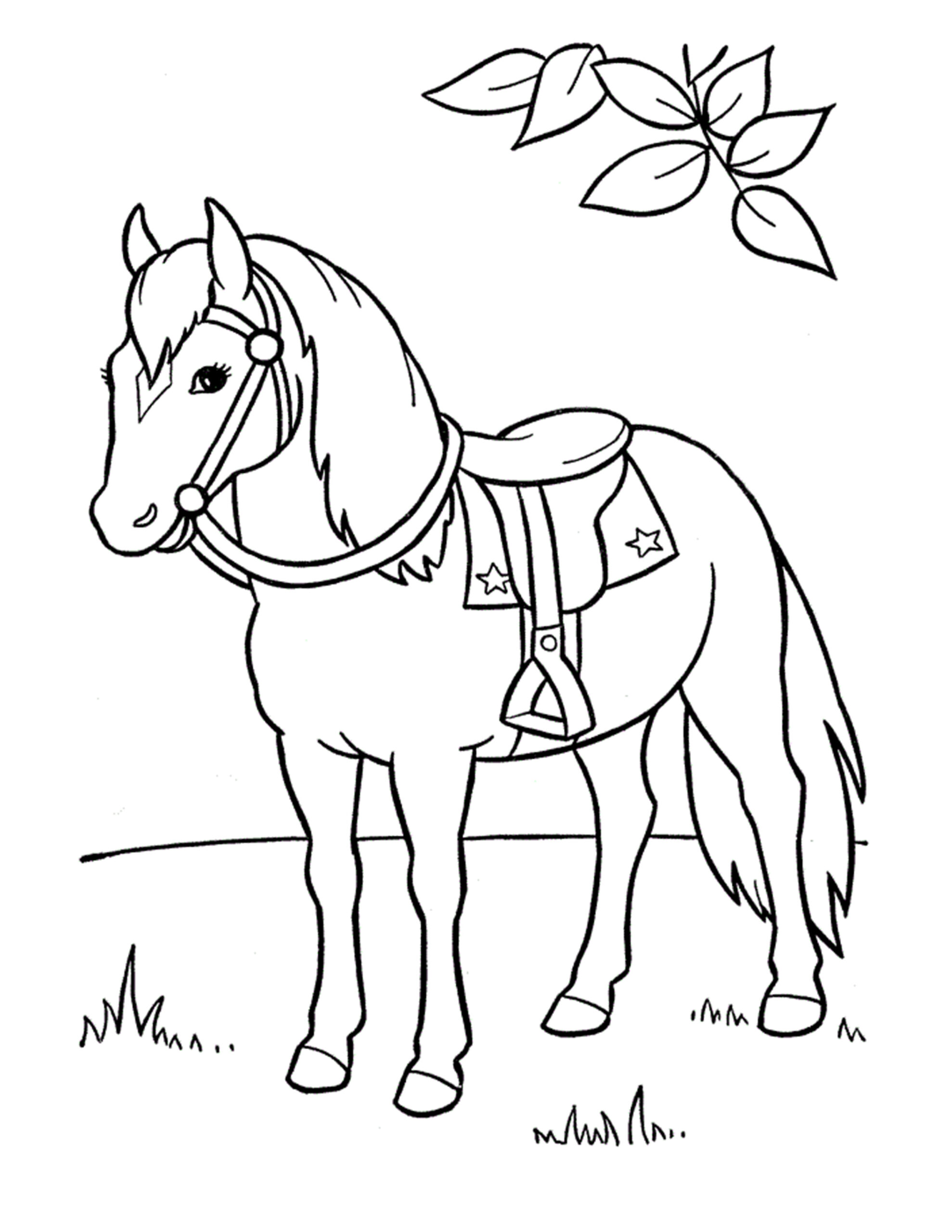 Kleuren paarden tekening