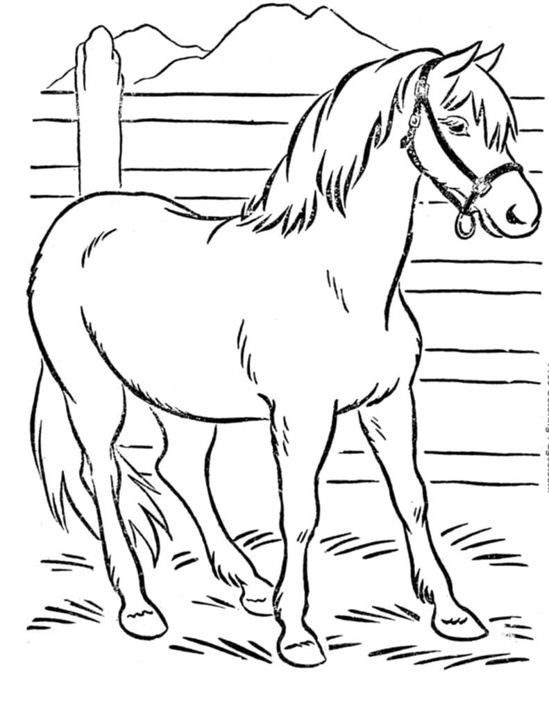 gratis paard inkleuren tekening