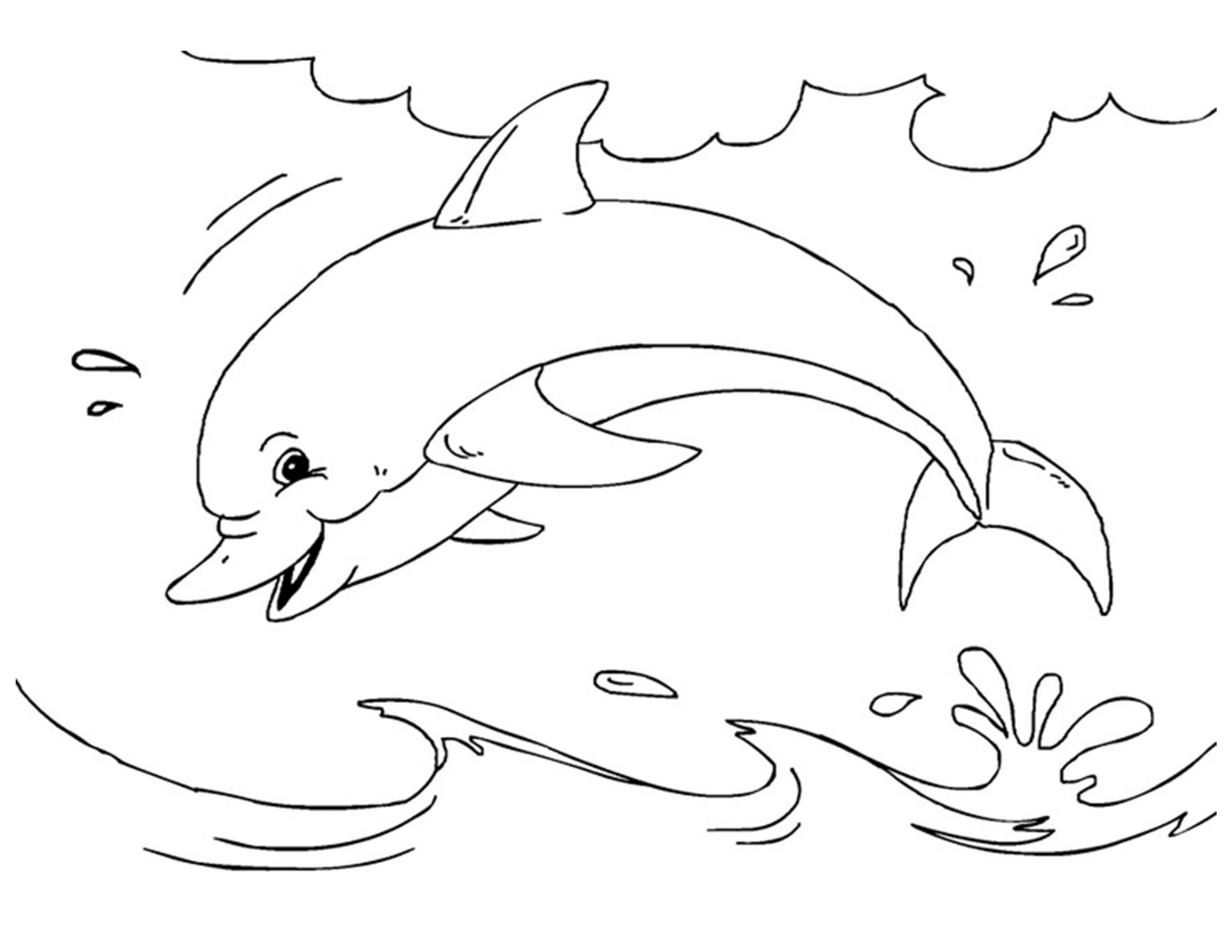 grote kleurplaat dolfijnen