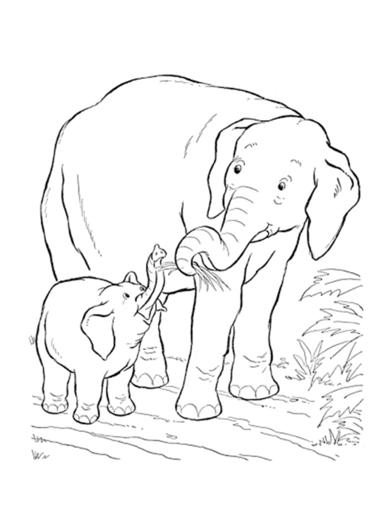 mama olifant met baby olifant