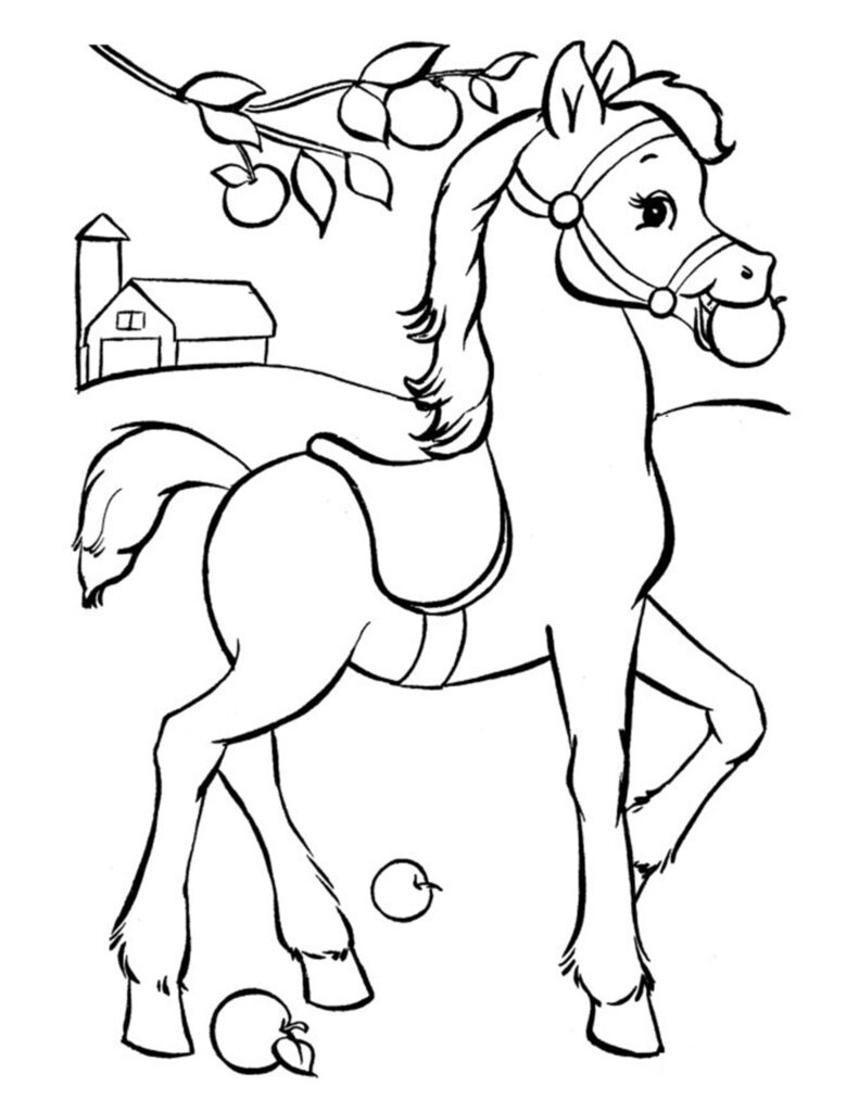 tekening paarden inkleuren