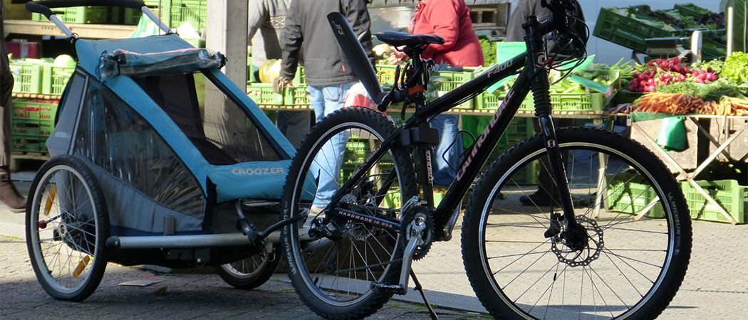 Zuidoost duif Aanbod De 5 beste fietskarren voor kinderen 2023 | HetKinderHuis