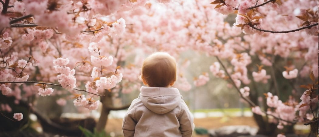 60 Chique Kindernamen 11 chique kindernamen die je zeker zal waarderen